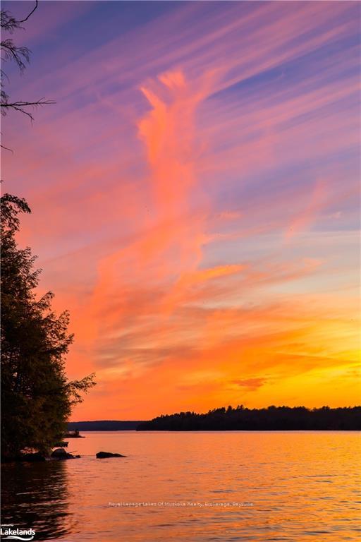 1378-old-highway-117-road-lake-of-bays-ontario-x13672970