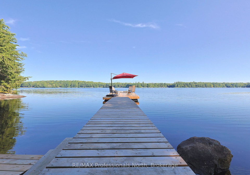 1365-dickie-lake-road-lake-of-bays-ontario-x13673126