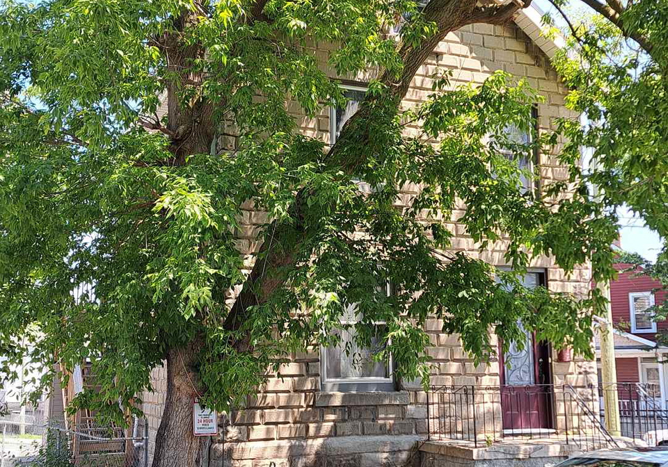 45-chestnut-street-kingston-ontario-x13674560