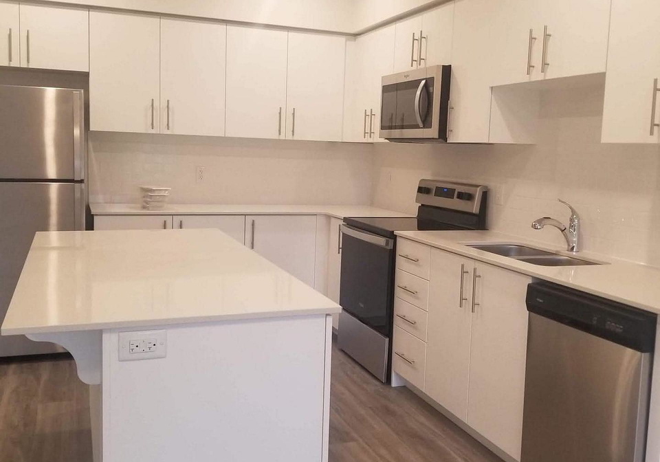 110-fergus-avenue-kitchener-ontario-x13676712