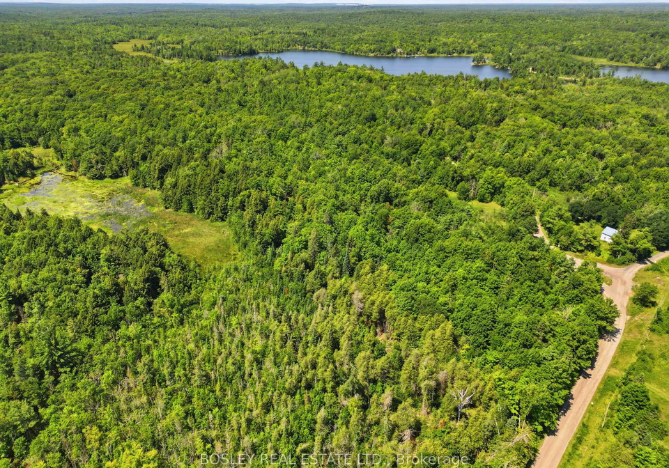 11-buttermilk-lane-marmora-and-lake-ontario-x13677096