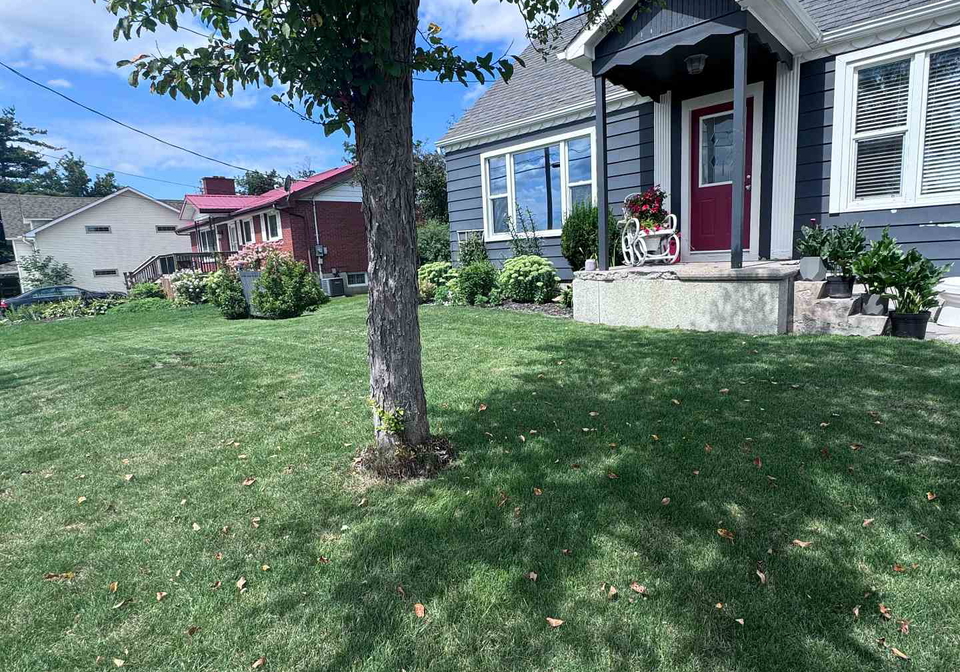 6016-county-50-road-trent-hills-ontario-x13679244