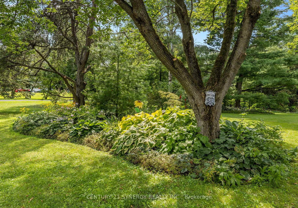 955-du-castor-road-the-nation-ontario-x13682418