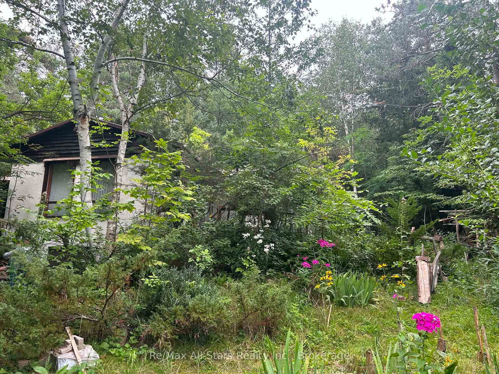 136-oakdene-crescent-kawartha-lakes-ontario-x13684096