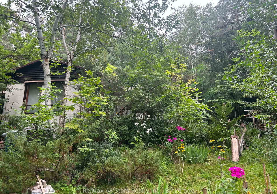 136-oakdene-crescent-kawartha-lakes-ontario-x13684096