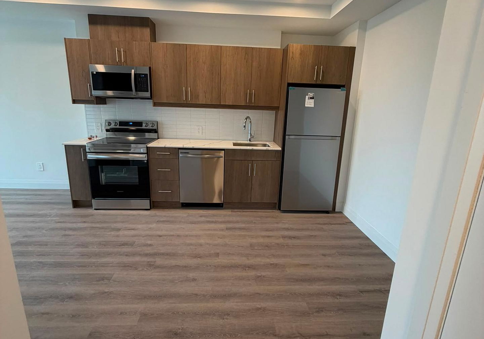 1333-weber-street-e-kitchener-ontario-x13685482