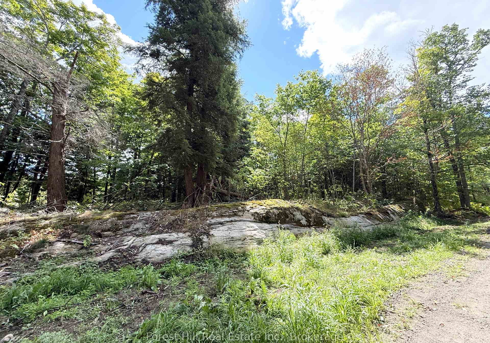 10415-522-highway-parry-sound-remote-area-ontario-x13685550