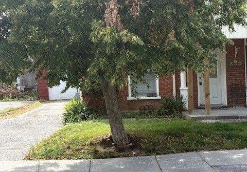 92-cedar-street-belleville-ontario-x13688258