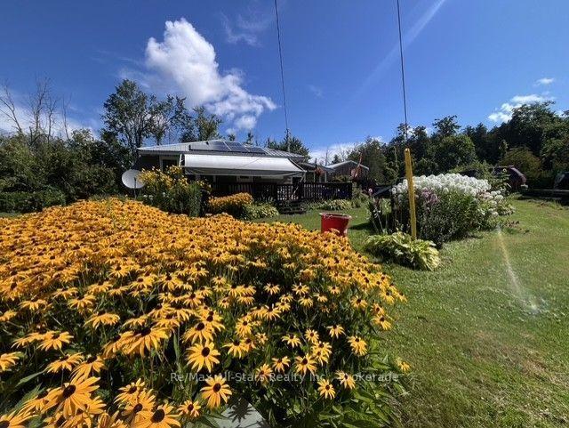 2-alexander-avenue-kawartha-lakes-ontario-x13689088
