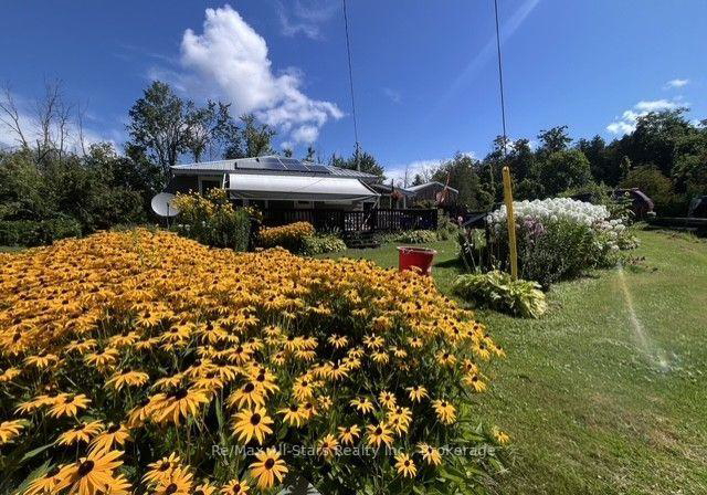 2-alexander-avenue-kawartha-lakes-ontario-x13689088