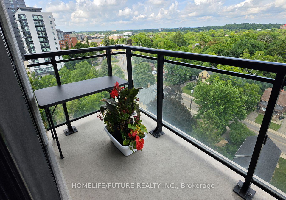 128-king-street-n-waterloo-ontario-x13689842