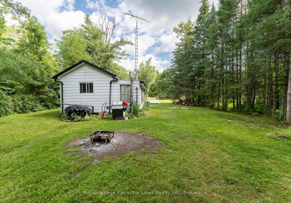 15-cockburn-street-kawartha-lakes-ontario-x13690540