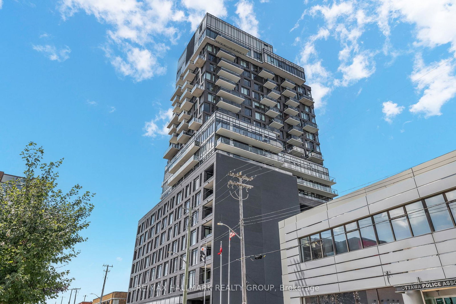 203-catherine-street-ottawa-ontario-x13690678