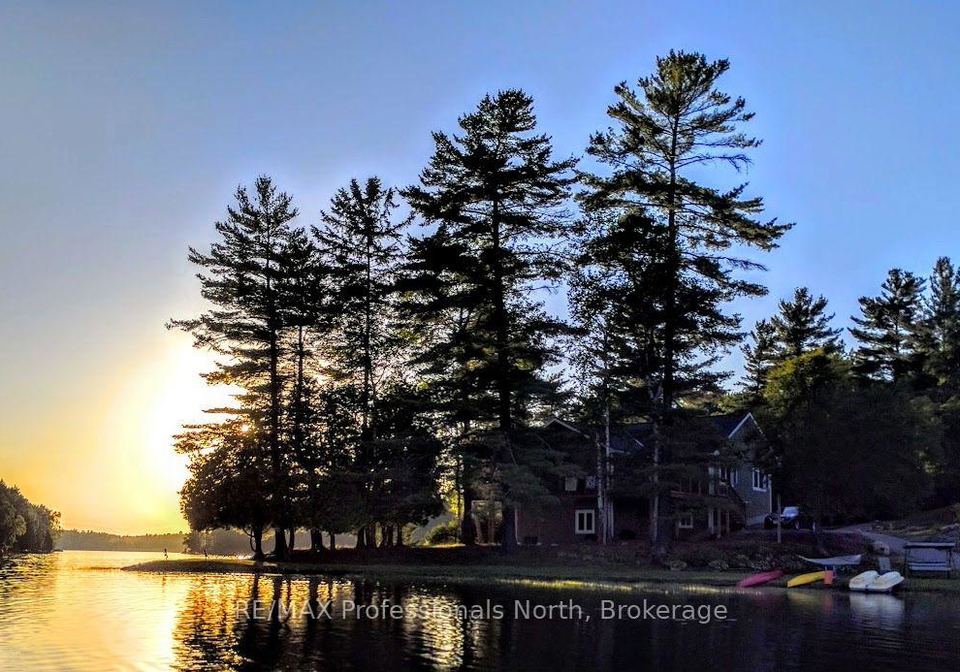 1029-trio-lane-highlands-east-ontario-x13695044
