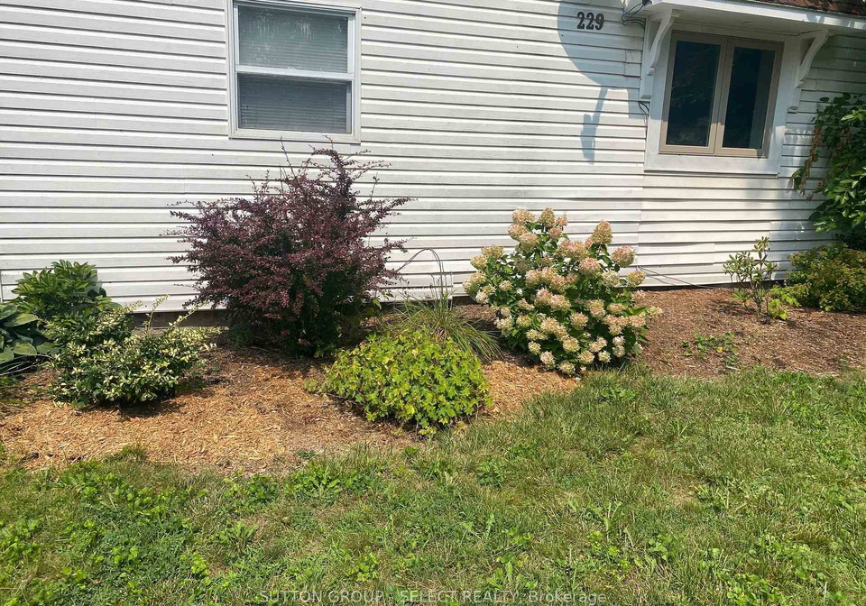 229-miller-road-duttondunwich-ontario-x13695048