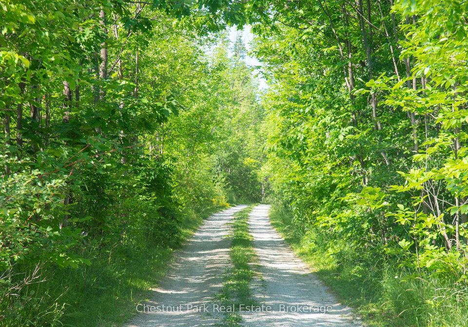137-39th-side-road-blue-mountains-ontario-x13695088