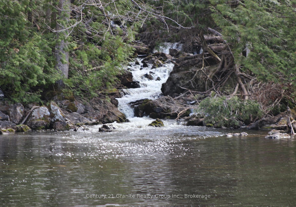 1037-andek-trail-highlands-east-ontario-x13696794