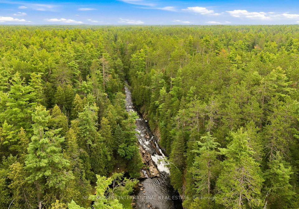 7953-highway-28-north-kawartha-ontario-x13699782