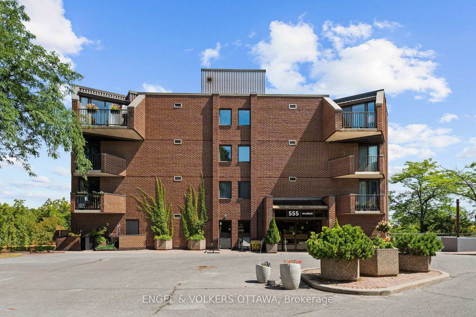 555-wilbrod-street-ottawa-ontario-x13699808