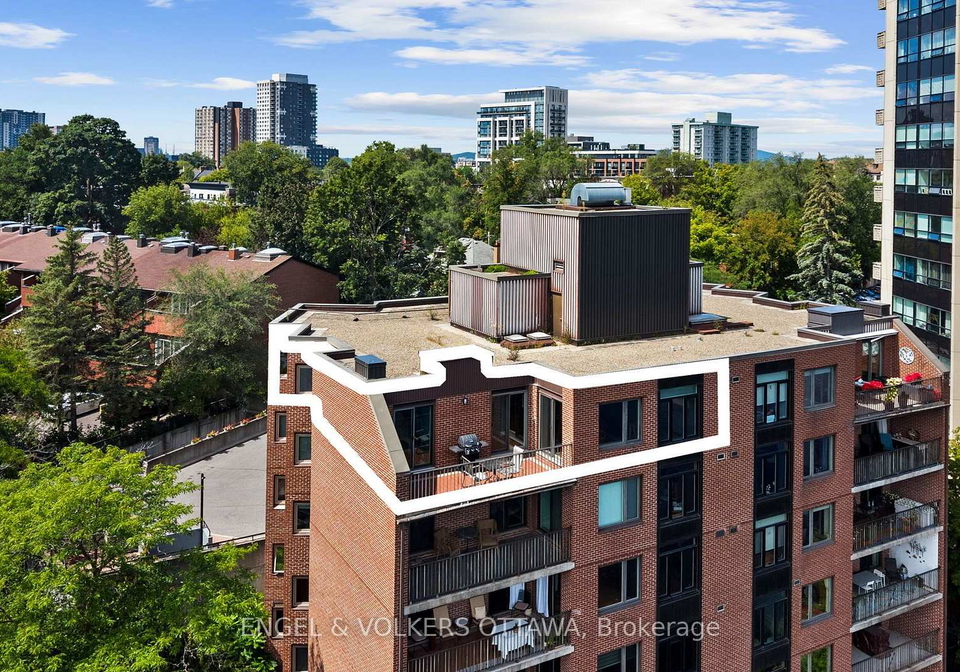 555-wilbrod-street-ottawa-ontario-x13699808