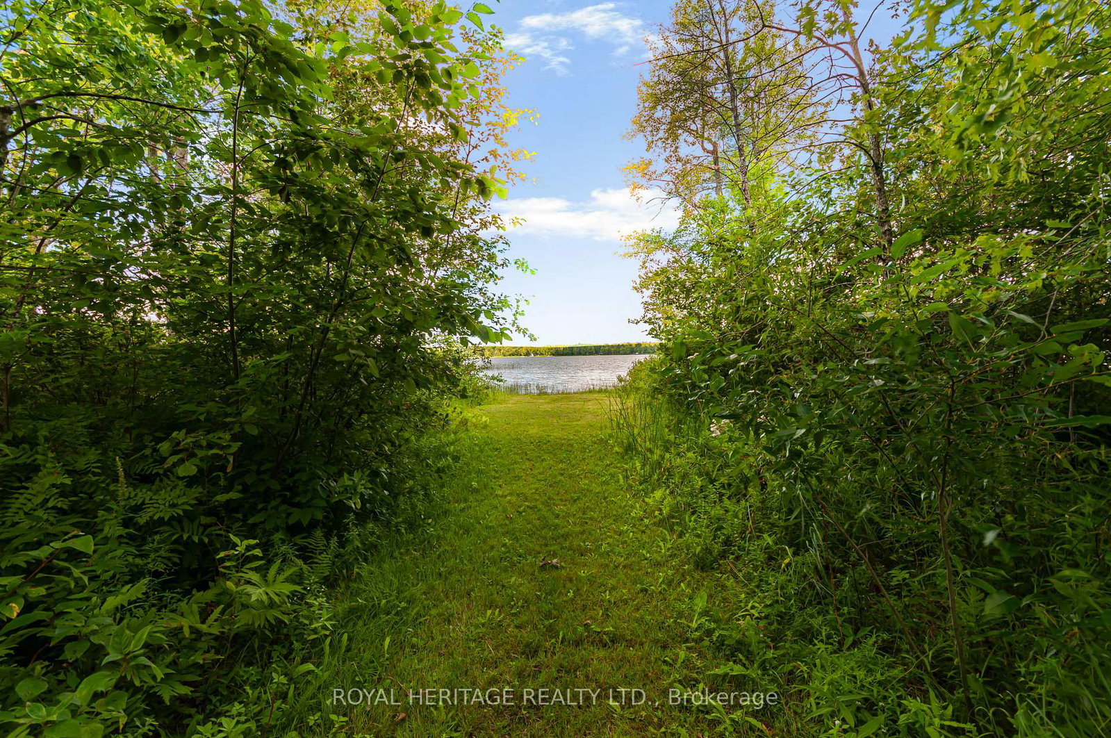 213-monck-road-cty-45-kawartha-lakes-ontario-x13699990