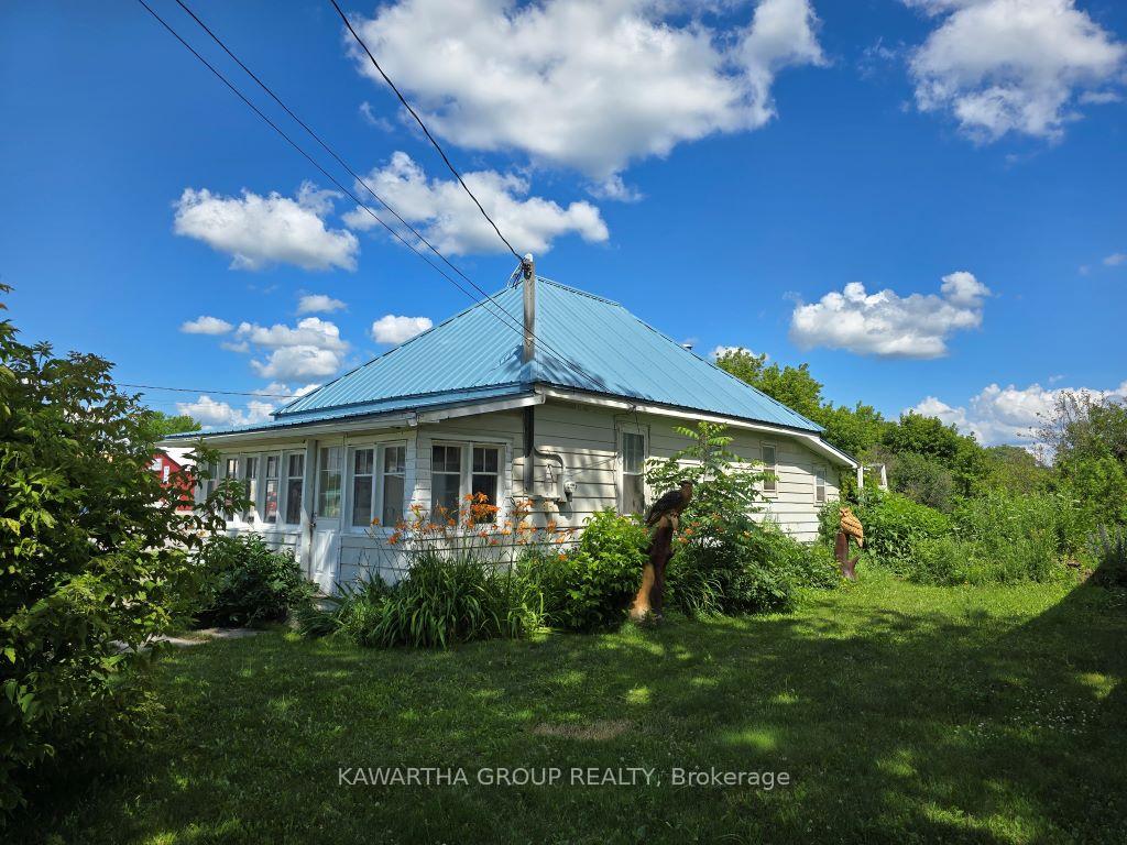 129-lindsay-street-kawartha-lakes-ontario-x13700796