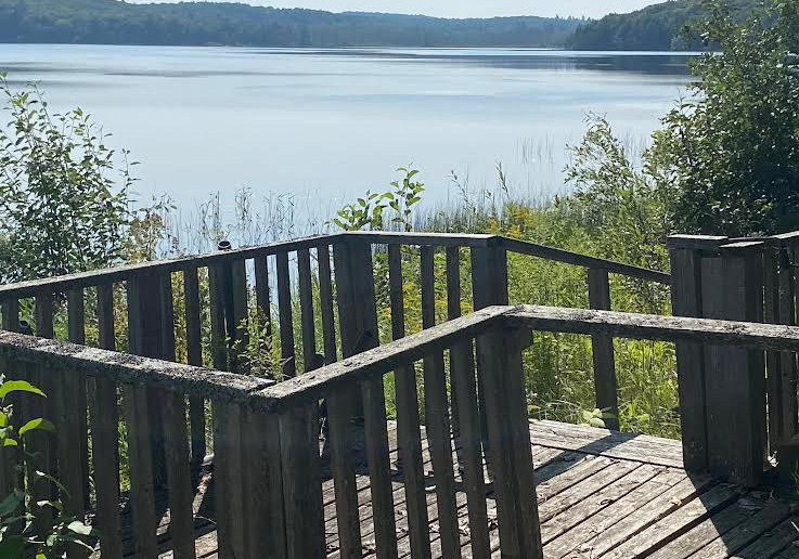 194-maws-road-huntsville-ontario-x13704320