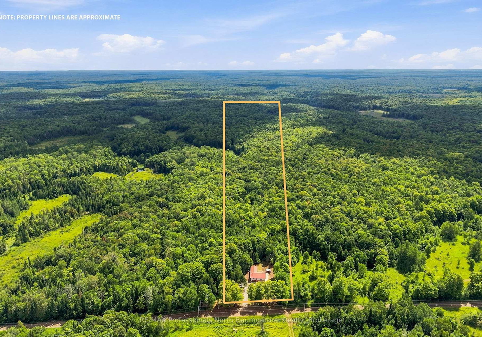 3085-hadlington-road-highlands-east-ontario-x13706042