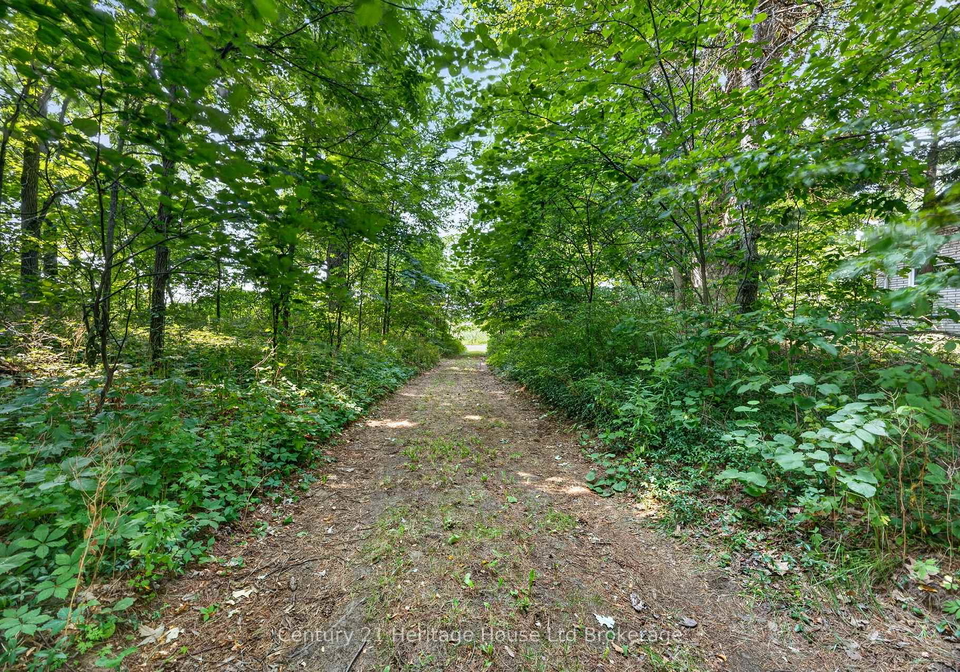 55728-maple-grove-line-bayham-ontario-x13706816