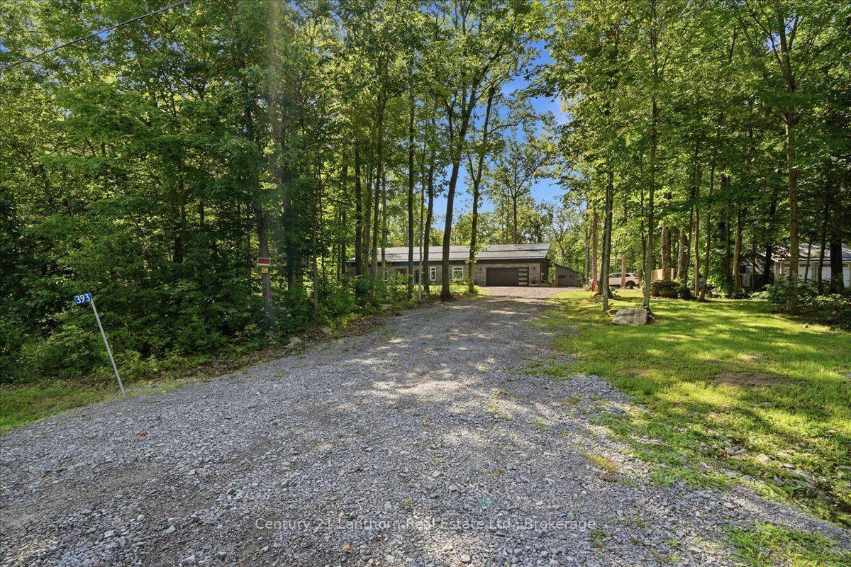 393-wood-road-centre-hastings-ontario-x13706912