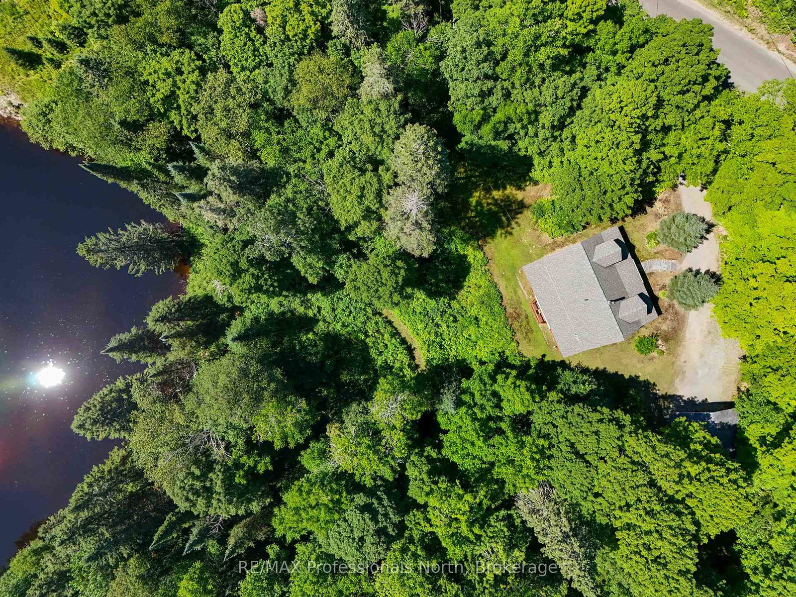 1237-williamsport-road-huntsville-ontario-x13707442