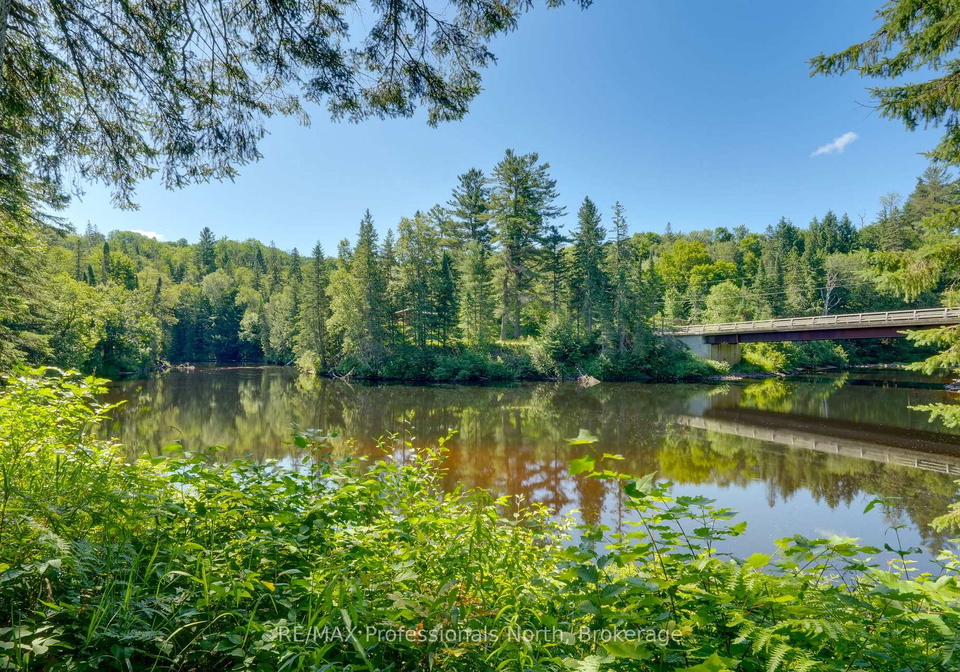 1237-williamsport-road-huntsville-ontario-x13707442