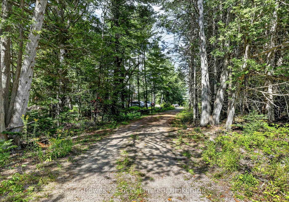 1244-vick-road-minden-hills-ontario-x13707754