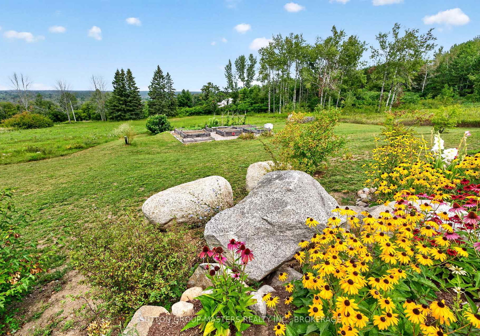 715-moira-road-centre-hastings-ontario-x13709094