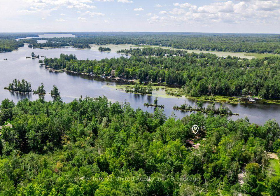 41-hall-crescent-trent-lakes-ontario-x13709442