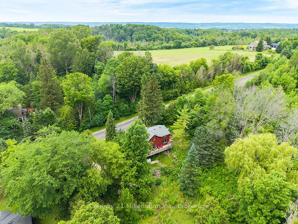 415877-tenth-line-blue-mountains-ontario-x13711888