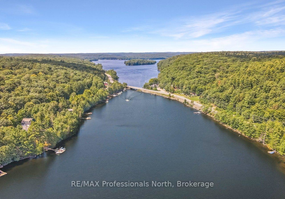 3382-kushog-lake-road-algonquin-highlands-ontario-x13713018