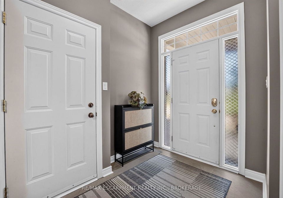 3-black-walnut-common-st-catharines-ontario-x13714374