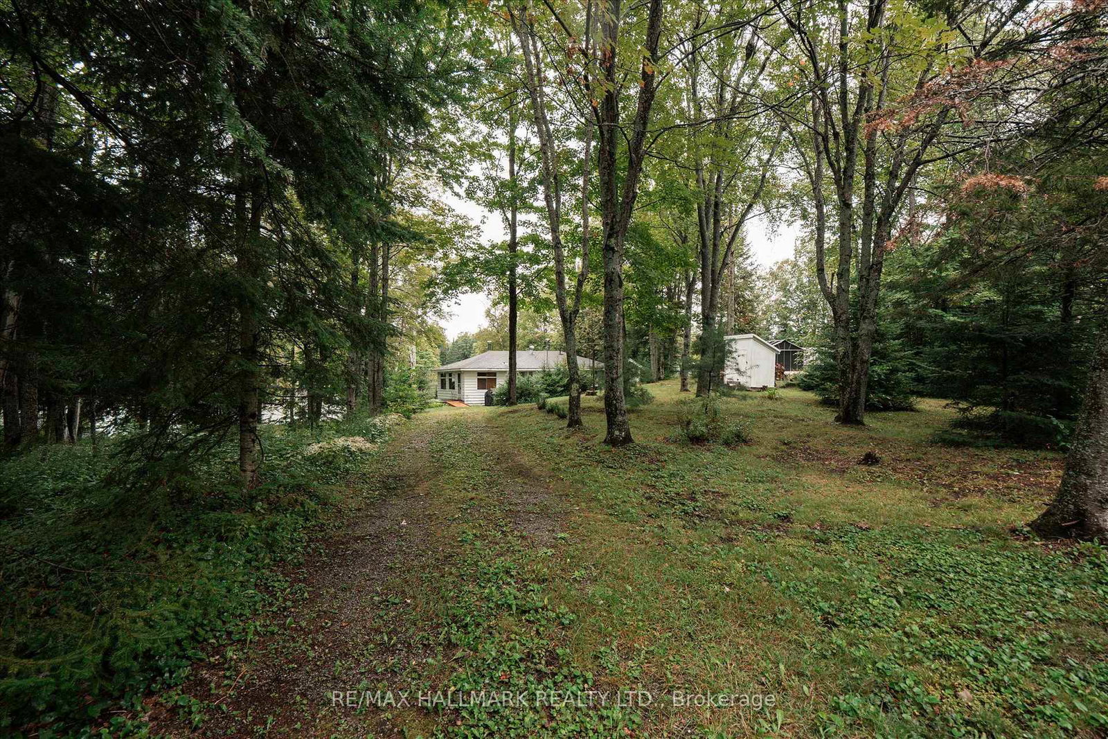 1124-comfort-drive-highlands-east-ontario-x13715170