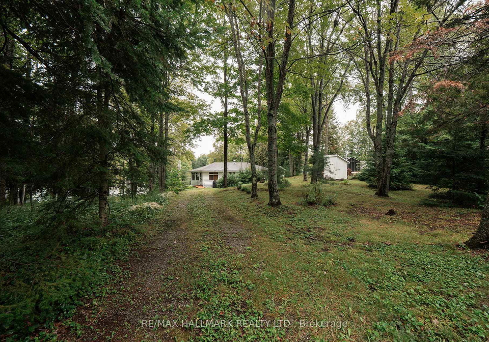 1124-comfort-drive-highlands-east-ontario-x13715170