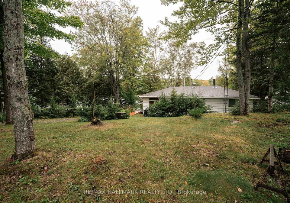 1124-comfort-drive-highlands-east-ontario-x13715170