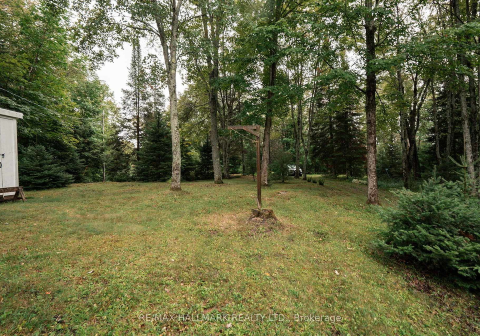 1124-comfort-drive-highlands-east-ontario-x13715170