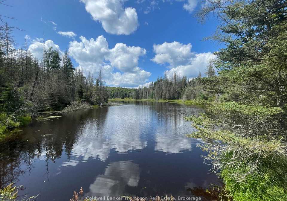 458-leighton-road-machar-ontario-x13715336
