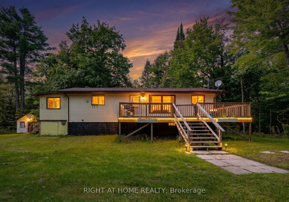 31-morrison-street-kawartha-lakes-ontario-x13721604