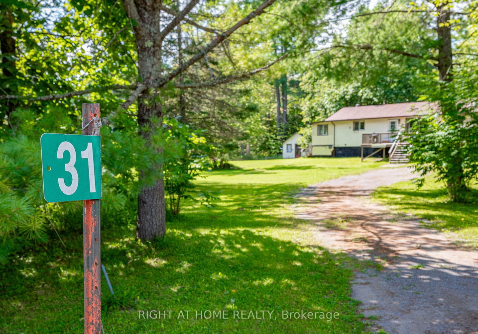 31-morrison-street-kawartha-lakes-ontario-x13721604