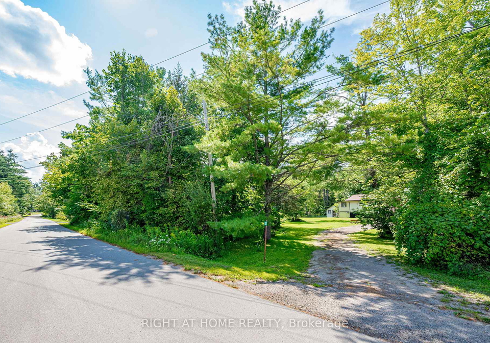 31-morrison-street-kawartha-lakes-ontario-x13721604