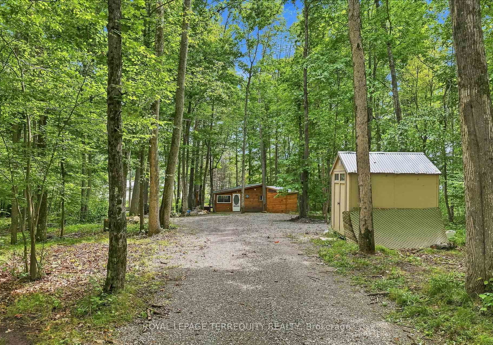 299-swinburne-lane-stirling-rawdon-ontario-x13721664