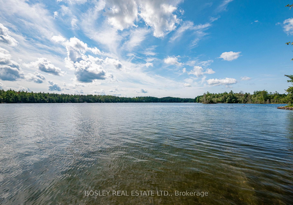 88-anne-drive-trent-lakes-ontario-x13721772