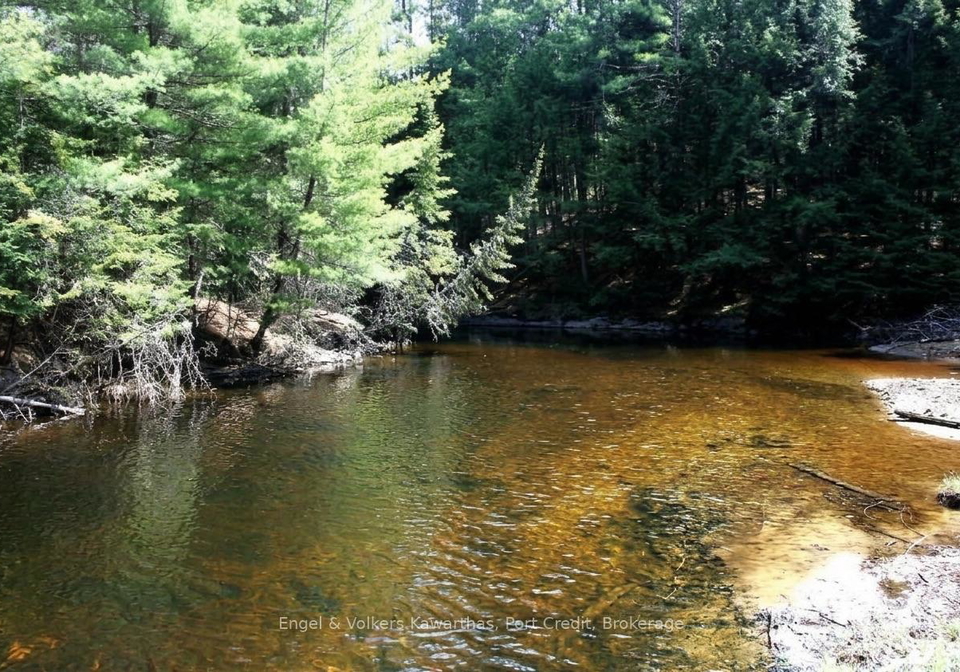 8751-hwy-28-highway-north-kawartha-ontario-x13722472