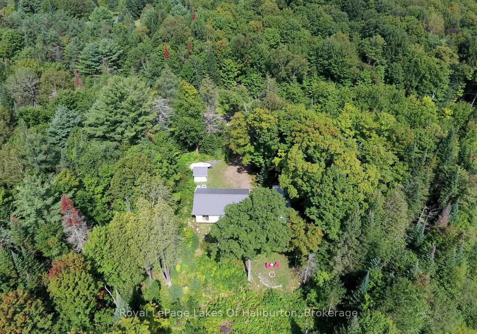 1337-irish-line-road-dysart-et-al-ontario-x13722772